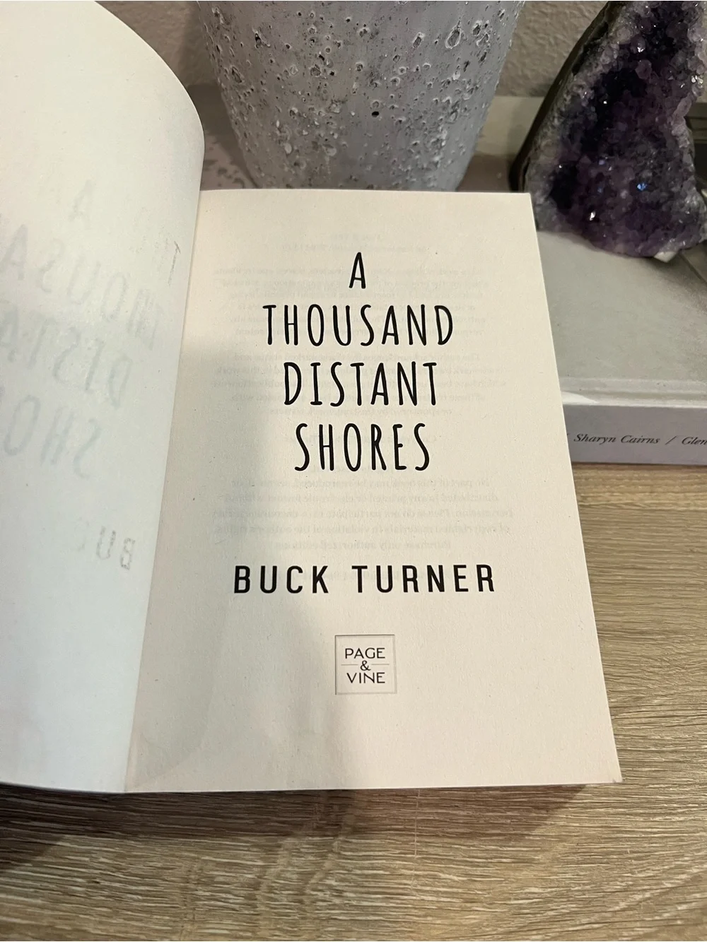 A Thousand Distant Shores Buck Turner Paperback 2025 Contemporary Romance